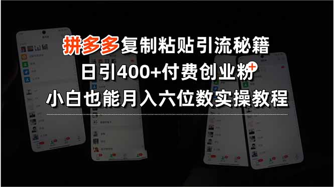 拼多多复制粘贴引流秘籍，日引400+付费创业粉，小白也能月入六位数实操…-HXPP
