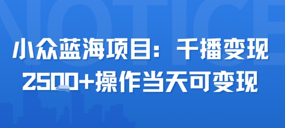 小众蓝海项目，千播变现2.5k+操作当天可变现-HXPP
