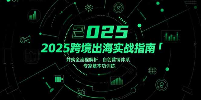 2025跨境出海实战指南，并购全流程解析，自创营销体系，专家基本功训练-HXPP
