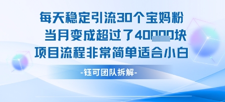 每天稳定引流30个人 当月变成超过了4个W项目流程非常简单适合小白-HXPP