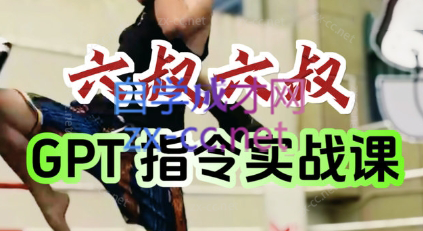 六叔的AI指令实战课(更新7月)-HXPP