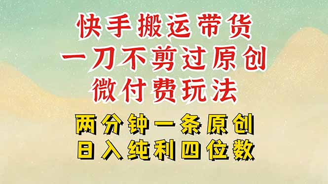 快手黑科技搬运带货，一刀不剪过原创，微付费投流玩法，轻松日入四位数…-HXPP