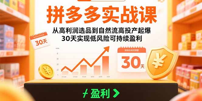 拼多多实战课：从高利润选品到自然流高投产起爆 30天实现低风险可持续盈利-HXPP