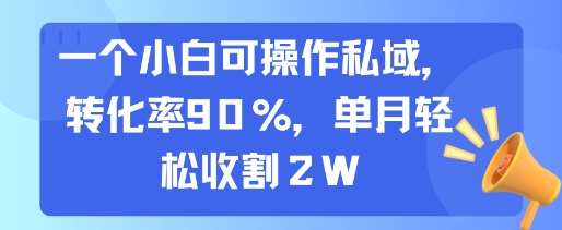 一个小白可操作私域，转化率90%，单月轻松收割2W-HXPP