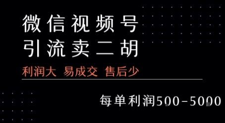 视频号卖二胡教程，利润大 易成交 售后少，一单利润5张+-HXPP
