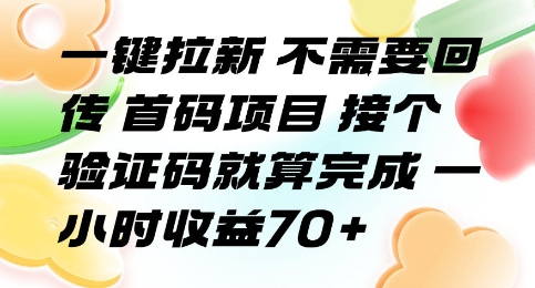 一键拉新 不需要回传 首码项目 接个验证码就算完成 一小时收益70+【揭秘】-HXPP