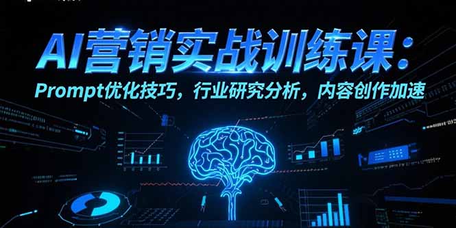 AI营销实战训练课：Prompt优化技巧，行业研究分析，内容创作加速-HXPP