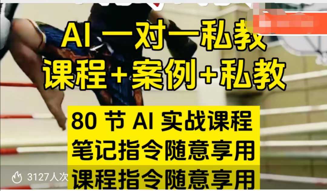 AI指令实战课，课程+案例，80节AI实战课程，笔记指令随意享用，课程指令随意享用(更新7月)-HXPP