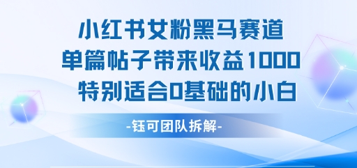 小红书女粉黑马赛道单篇帖子带来收益1k+，特别适合0基础的小白-HXPP