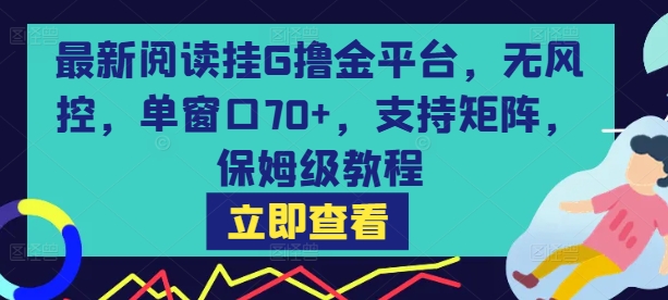最新阅读挂G撸金平台，无风控，单窗口70+，支持矩阵，保姆级教程【揭秘】-HXPP