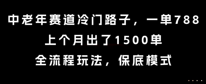 中老年赛道冷门路子，一单788，上个月出了1500单，全流程玩法，保底模式【揭秘】-HXPP
