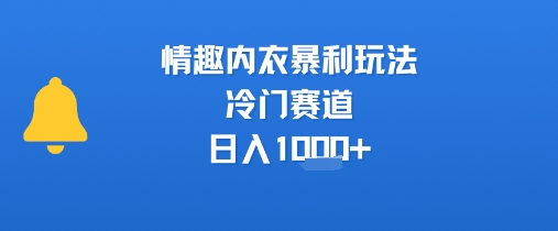 情趣内衣暴利玩法，冷门赛道，日入1k+-HXPP