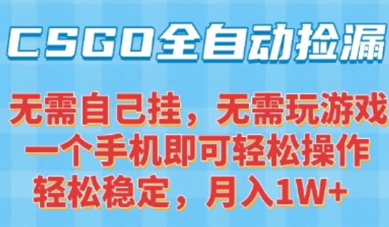CSGO自动捡漏项目，最新独家玩法，一个手机可操作，新手小白轻松月入1W+，操作简单易上手【揭秘】-HXPP