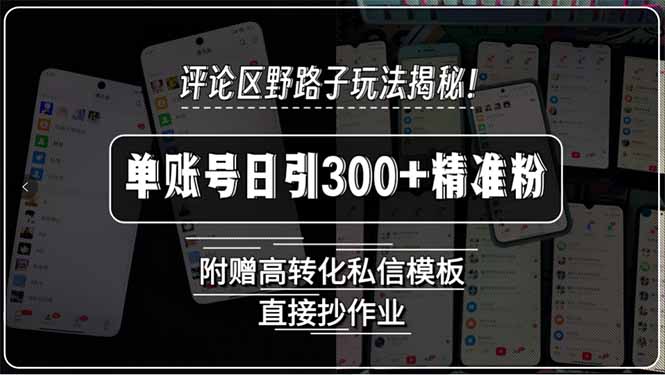 评论区野路子玩法揭秘！单账号日引300+精准粉，附赠高转化私信模板，直…-HXPP
