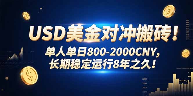 USD美金对冲搬砖!单人单日800-2000CNY，长期稳定运行8年之久!-HXPP