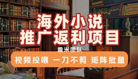 海外小说推广返利项目，视频投喂， 一刀不剪，矩阵批量-HXPP