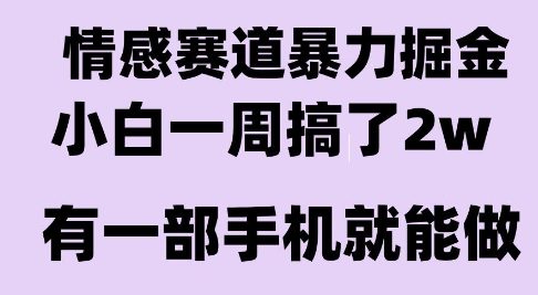 情感暴力掘金项目，新人操作一周挣了2W，长期稳定小白可做【揭秘】-HXPP