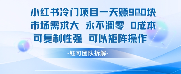 小红书冷门项目一天收益9张，市场需求大，0成本，可复制性强可以矩阵操作-HXPP