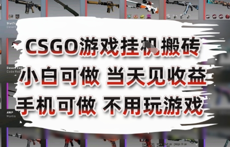 CSGO游戏挂G搬砖，小白纯手机即可操作，不用电脑打游戏，日入3张+，副业网创项目【揭秘】-HXPP