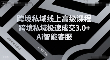 跨境私域线上高级课程，跨境私域极速成交3.0+Ai智能客服-HXPP