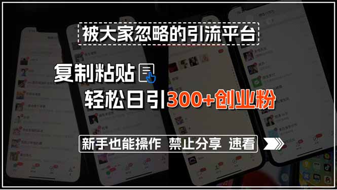被大家忽略的引流平台，复制粘贴轻松日引300+创业粉，新手也能操作，禁…-HXPP