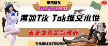 海外tiktok小说推文暴力项目，高停留率，高转化率，上手后一天搞顿饭钱不是问题-HXPP