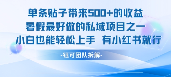单条贴子带来5张的收益，暑假最好做的私域项目之一，小白也能轻松上手，有小红书就行-HXPP