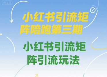 小红书引流矩阵陪跑第三期，小红书引流矩阵引流玩法-HXPP