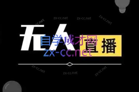 宝子哥·无人直播-非实时防风技术(更新8月)-HXPP