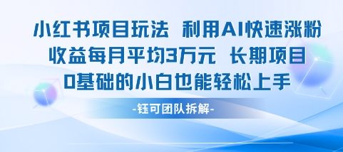 适合小白操作的小红书新项目，利用AI快速涨粉，收益每月平均1W+-HXPP