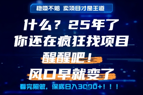 什么？25年你还在疯狂找项目做，醒醒吧，看完这些你全都懂了！【揭秘】-HXPP