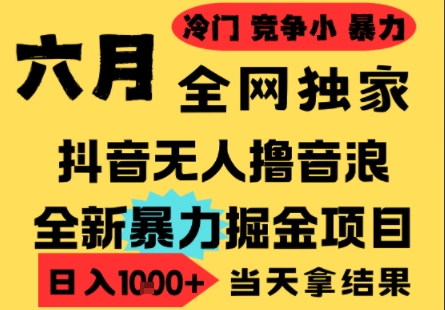 25年6月高爆抖音无人直播最新撸音浪掘金项目，小白可做，无脑日入1k+，门槛低可批量矩阵【揭秘】-HXPP