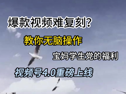 视频号4.0重磅上线，爆款视频难复刻？教你无脑操作宝妈学生党的福利【揭秘】-HXPP