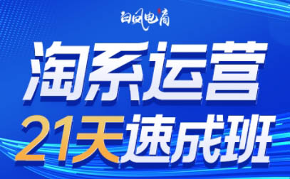 白凤电商·淘系运营21天速成班(更新6月)-HXPP
