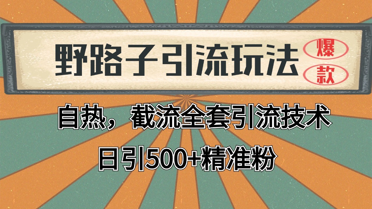 2024首发野路子引流玩法截流自热全平台打法，全自动引流【日引2000+精准客户】-HXPP