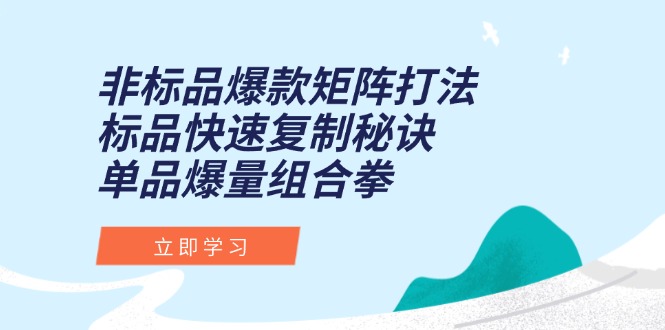 非标品爆款矩阵打法，标品快速复制秘诀，单品爆量组合拳-HXPP