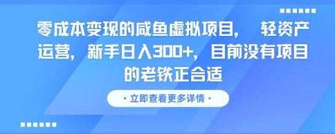 零成本变现的咸鱼虚拟项目， 轻资产运营，新手日入3张+，目前没有项目的老铁正合适-HXPP