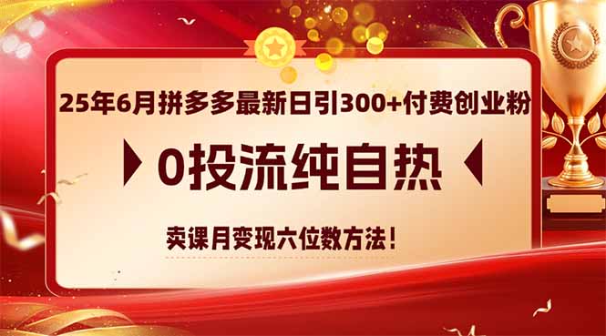 25年6月拼多多最新日引300+付费创业粉，0投流纯自热 卖课月变现六位数方法-HXPP