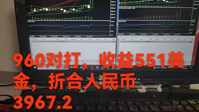 图片[1]-稳定8年的美刀搬砖项目，单人每日收益800—3000.团队4人月入10W+.可线下-HXPP