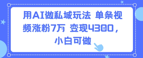 用AI做私域玩法，单条视频涨粉7W变现4.3k，小白可做-HXPP