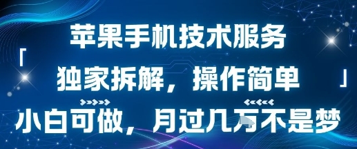 苹果手机技术服务，独家拆解，操作简单，小白可做，月过1W不是梦-HXPP