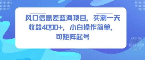 风口信息差蓝海项目，实测一天收益4k+，小白操作简单，可矩阵起号-HXPP