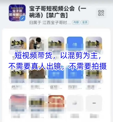 宝子哥头部团队短视频带货，以混剪为主，不需要真人出镜，不需要拍摄【更新8月】-HXPP