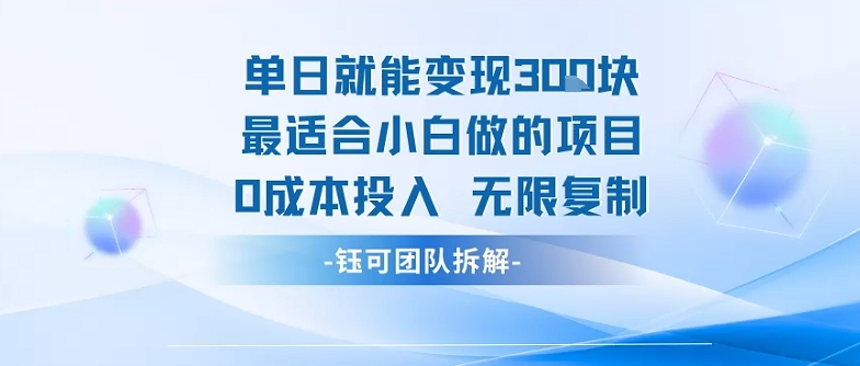 单日就能变现3张最适合小白做的项目0成本投入 无限复制-HXPP