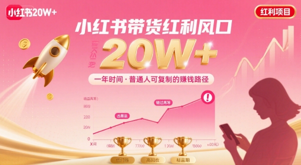 一年时间靠小红书带货项目年入20w+，最不能错的大红利项目-HXPP