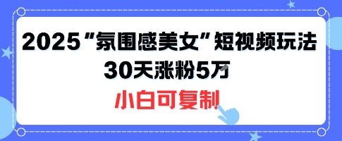 不露脸也能火！2025“氛围感美女”短视频玩法，30天涨粉5W小白可复制-HXPP