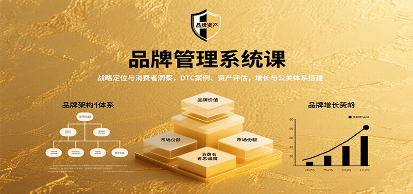 品牌管理系统课：战略定位与消费者洞察，DTC案例、资产评估，增长与公关体系搭建-HXPP