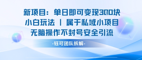 新项目单日即可变现3张的小白玩法无脑操作不封号安全引流-HXPP