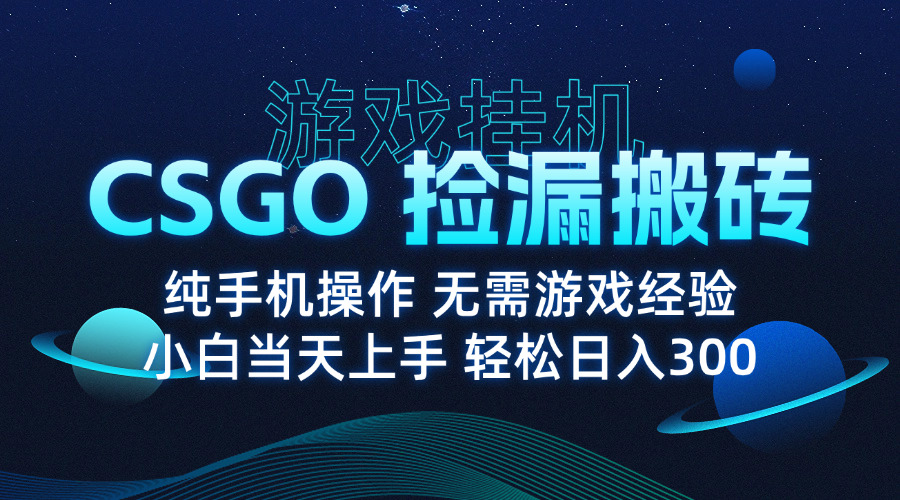 8月最新游戏搬砖，CSGO纯挂机，不需要玩游戏，实现真挂机，月入1W+-HXPP