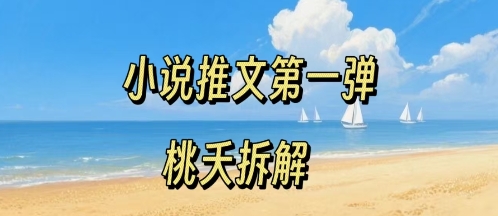 小说推文项目操作全流程第一弹，0粉就能做，门槛低非常适合新手-HXPP